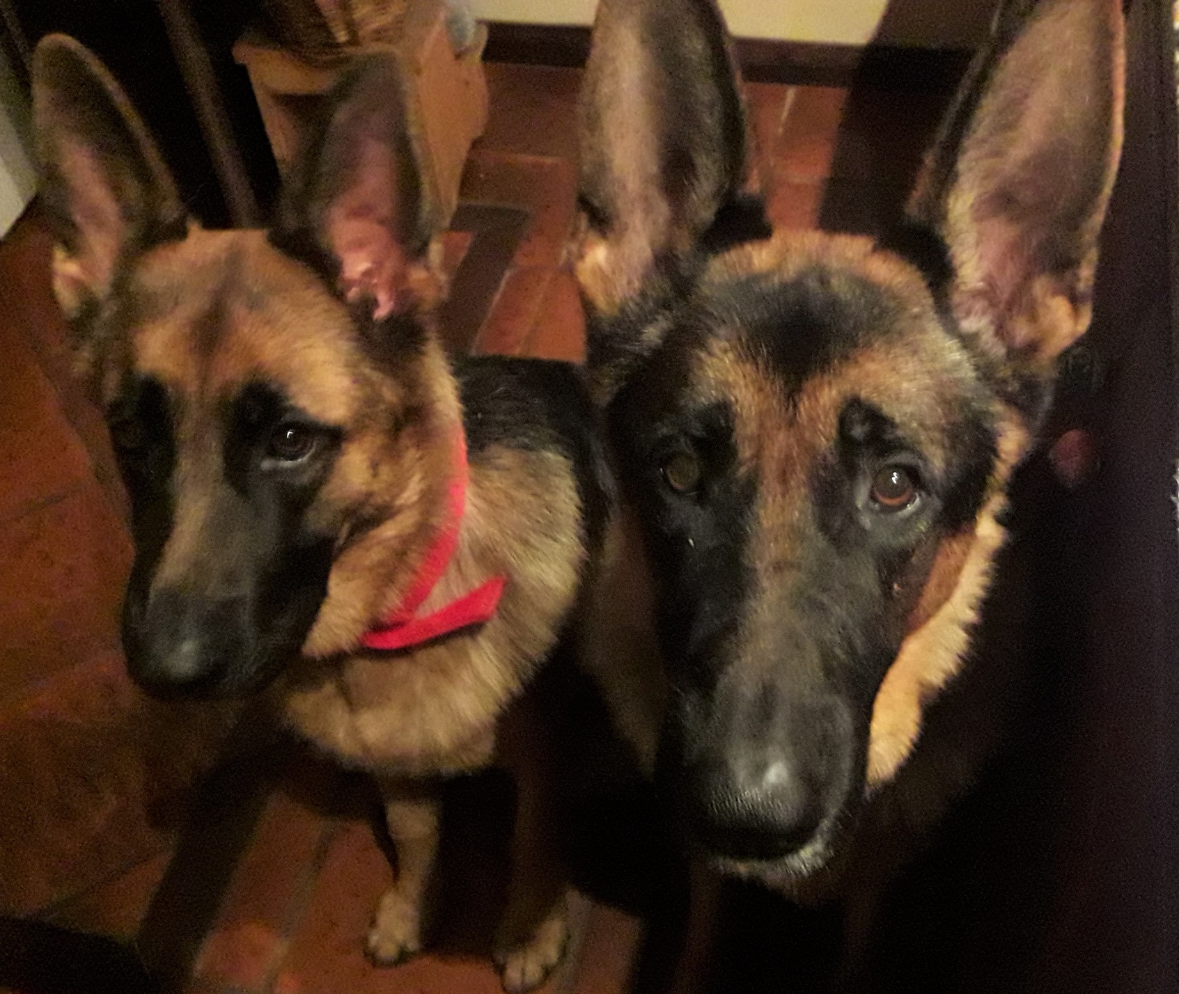 Constanza Ciminelli y Carlos Quiroga